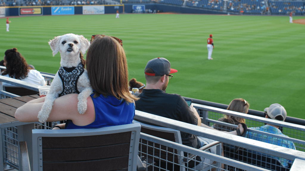 Tail Waggin' Tuesday Nashville Sounds Game