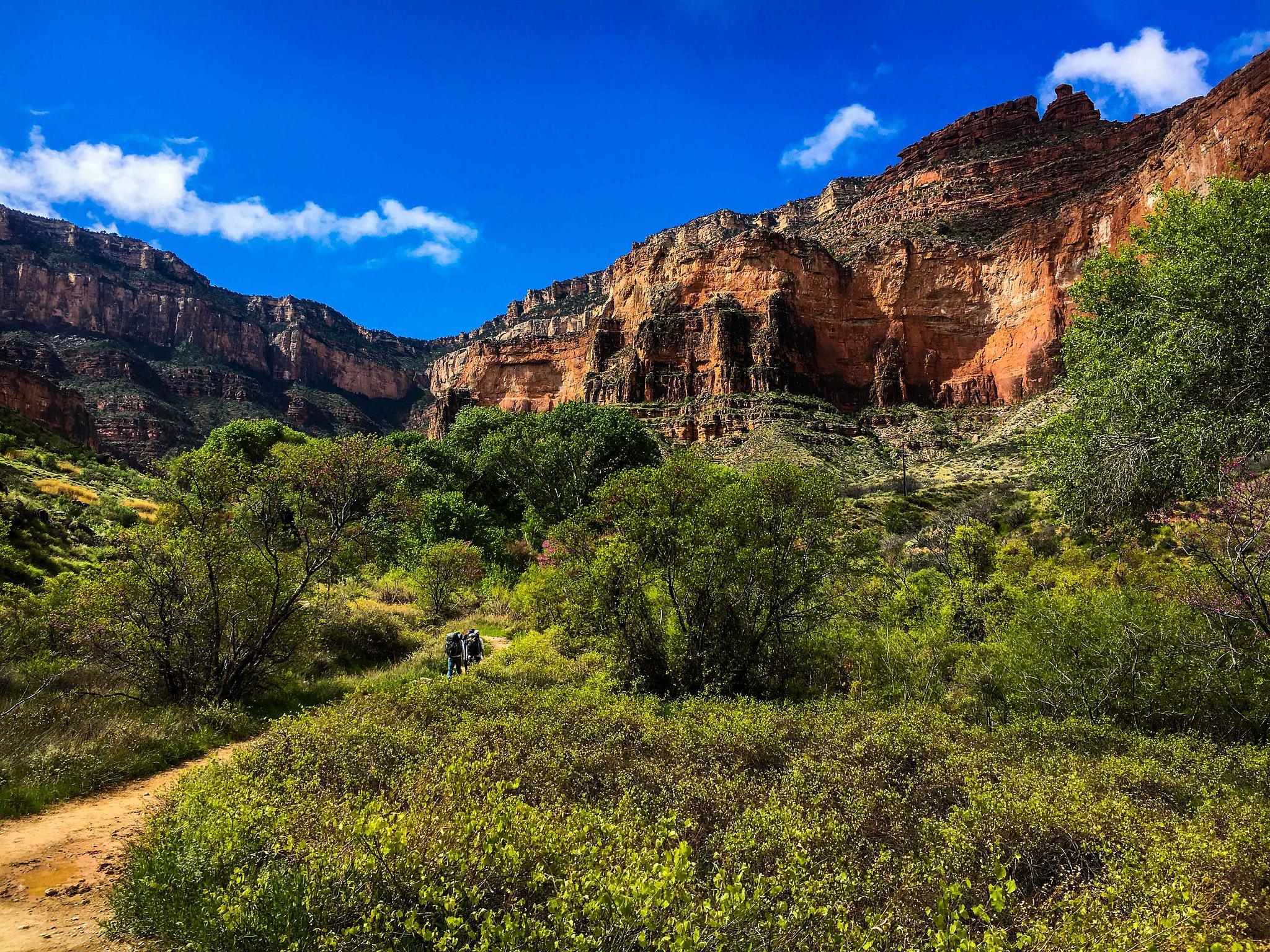 Grand Canyon Hikers