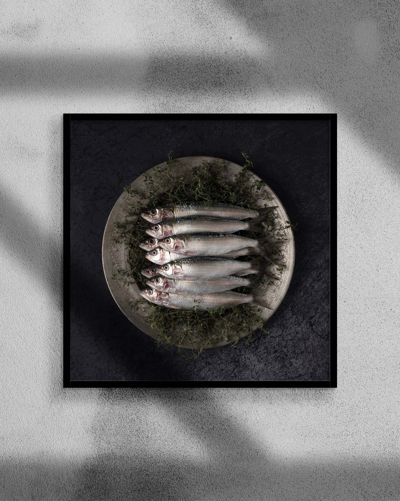 Title: Silver lines and sardines