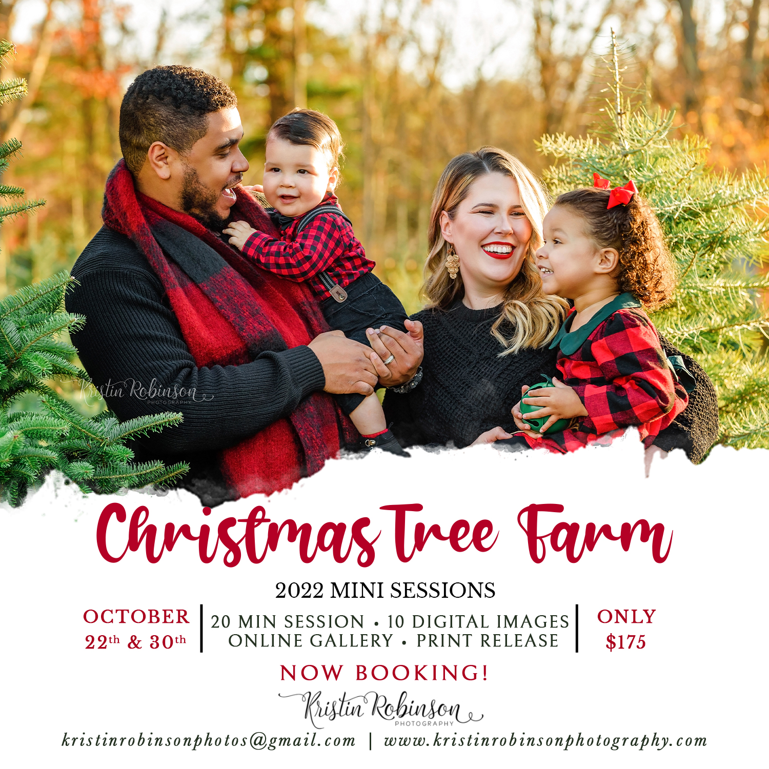 2022 Tree Farm Mini Sessions Kristin Robinson Photography