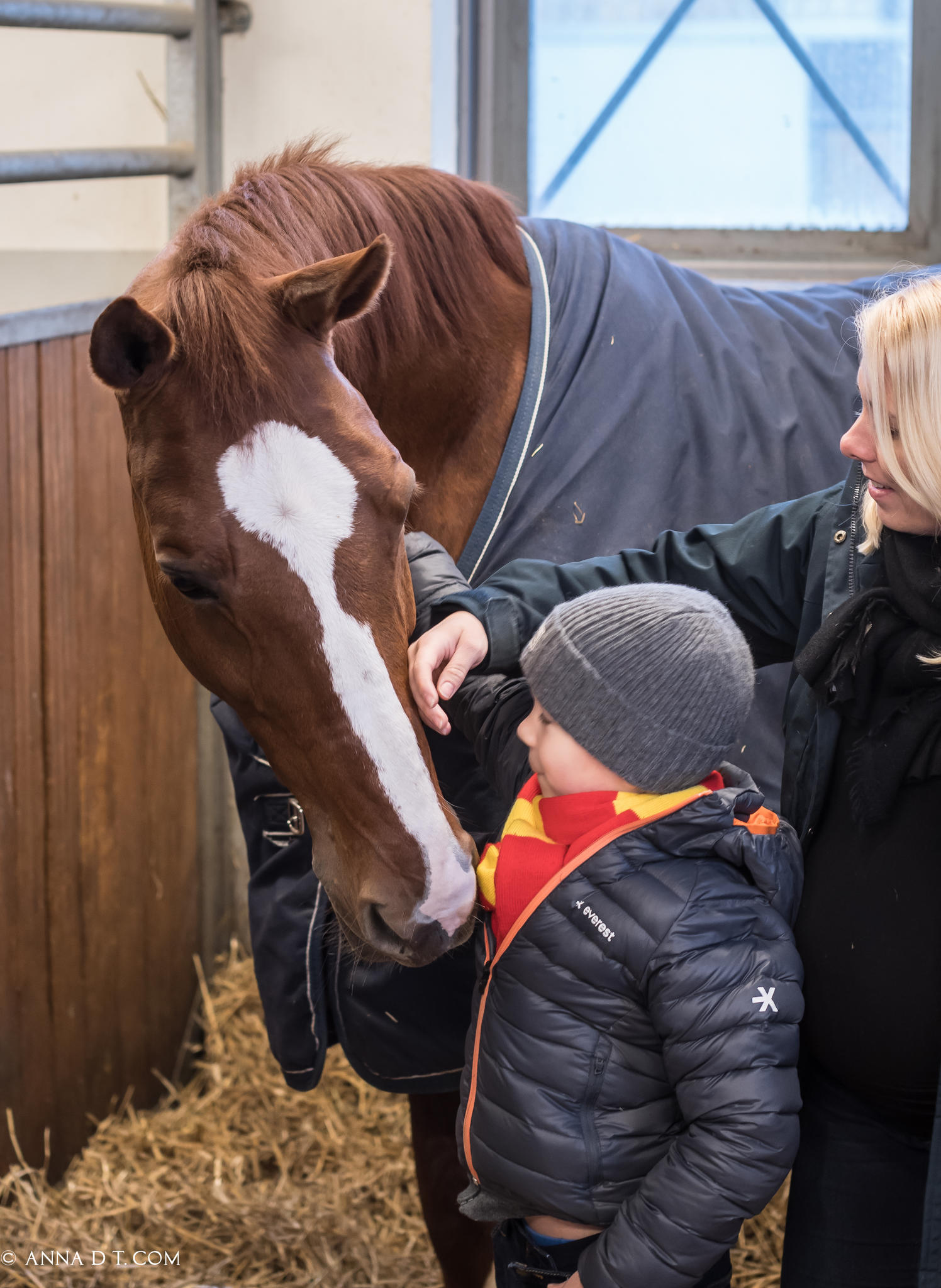 Magical Connection Between Horses and Kids