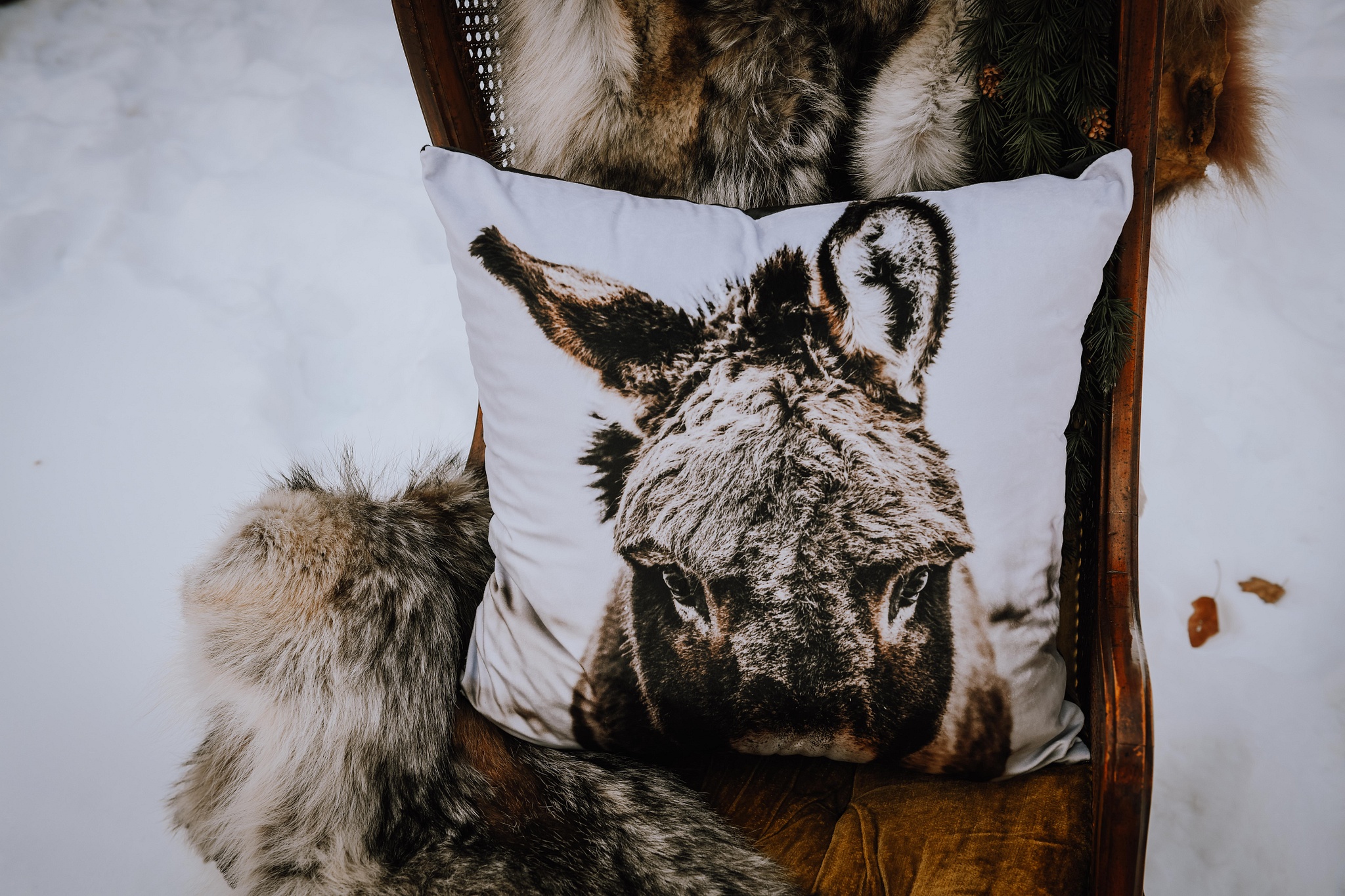 Donkey ~ Original Pillow