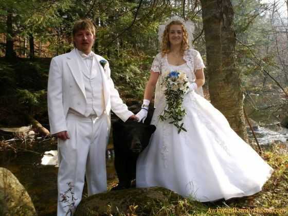 The Pet Bear in Wedding Photography The Pet Bear in Wedding Photography