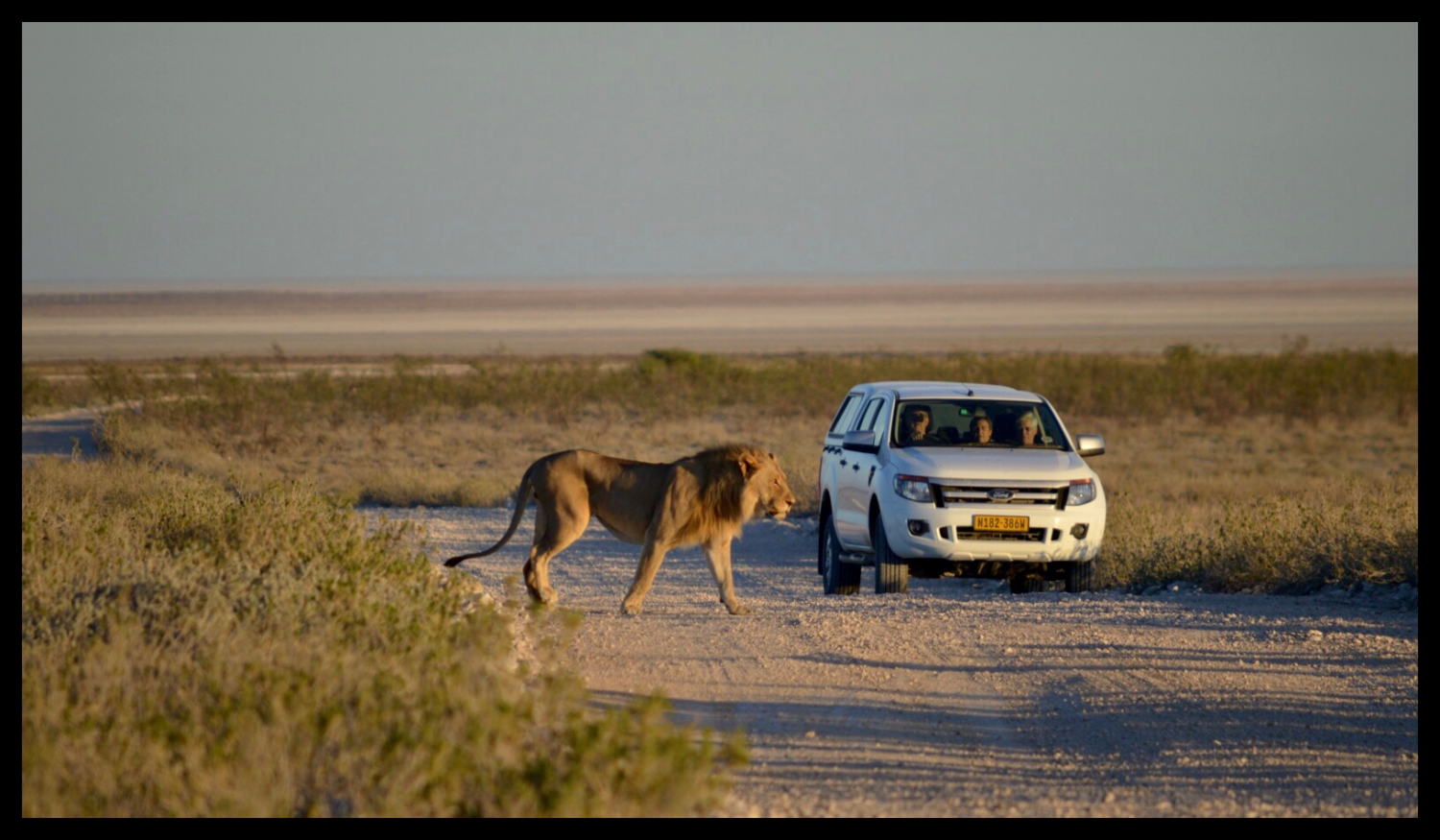 Un camino de Etosha Un camino de Etosha