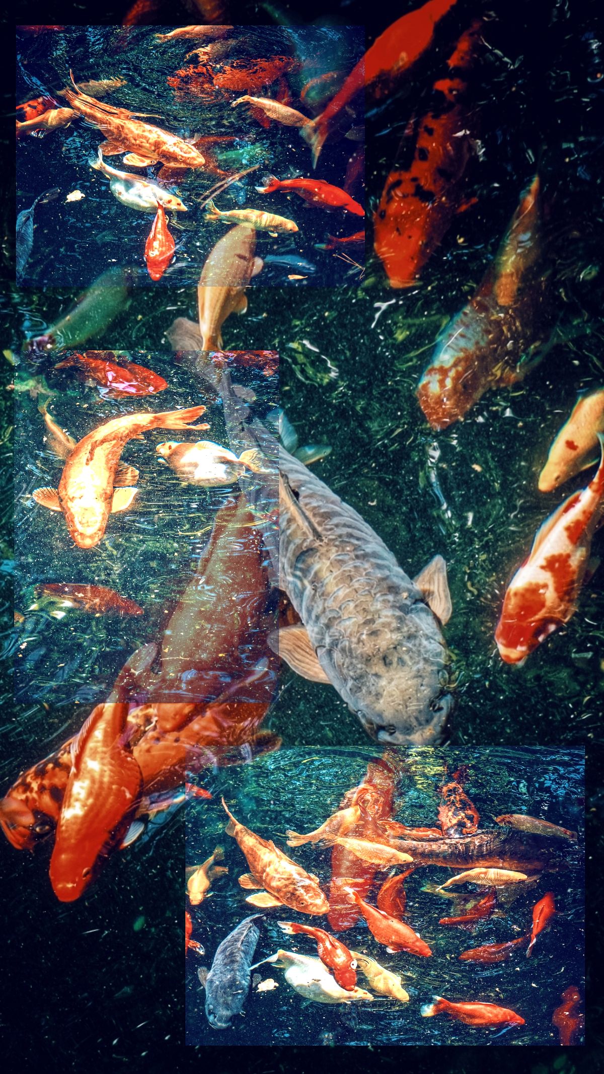 VSCO_Collage_04