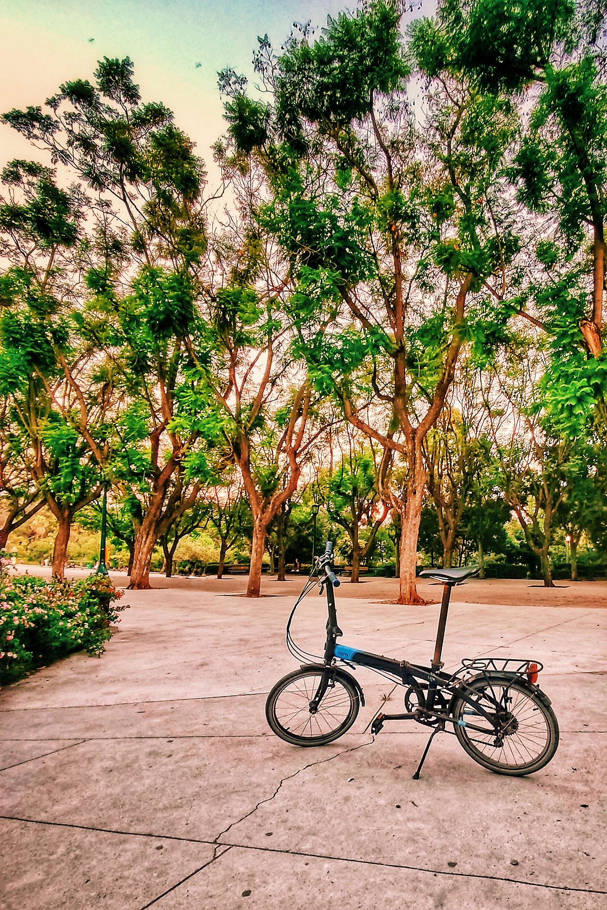 VSCO_Image_14