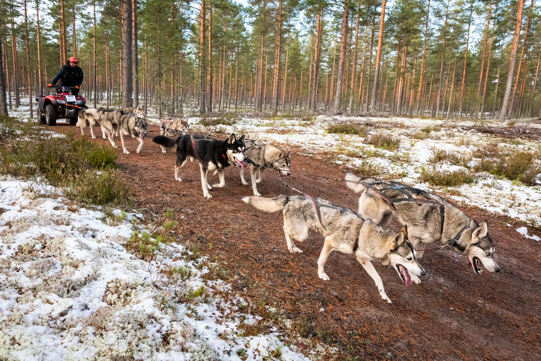 Etäkameran kuvaa Etäkameran kuvaa