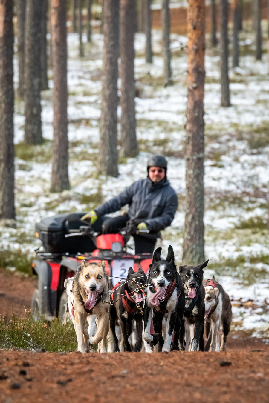 Pientä mäkeä Pientä mäkeä