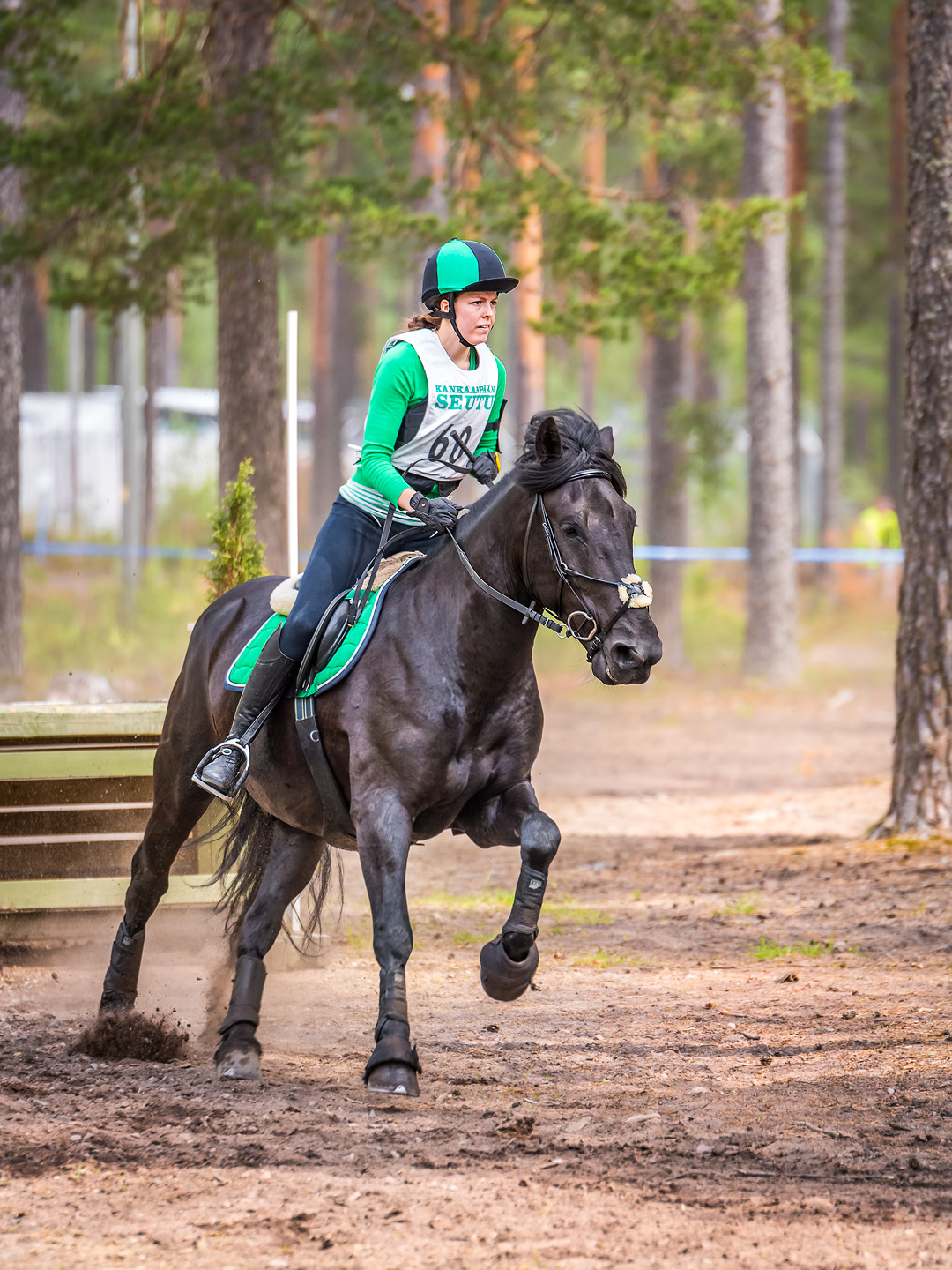 Niinisalo / Green Eventer Niinisalo / Green Eventer