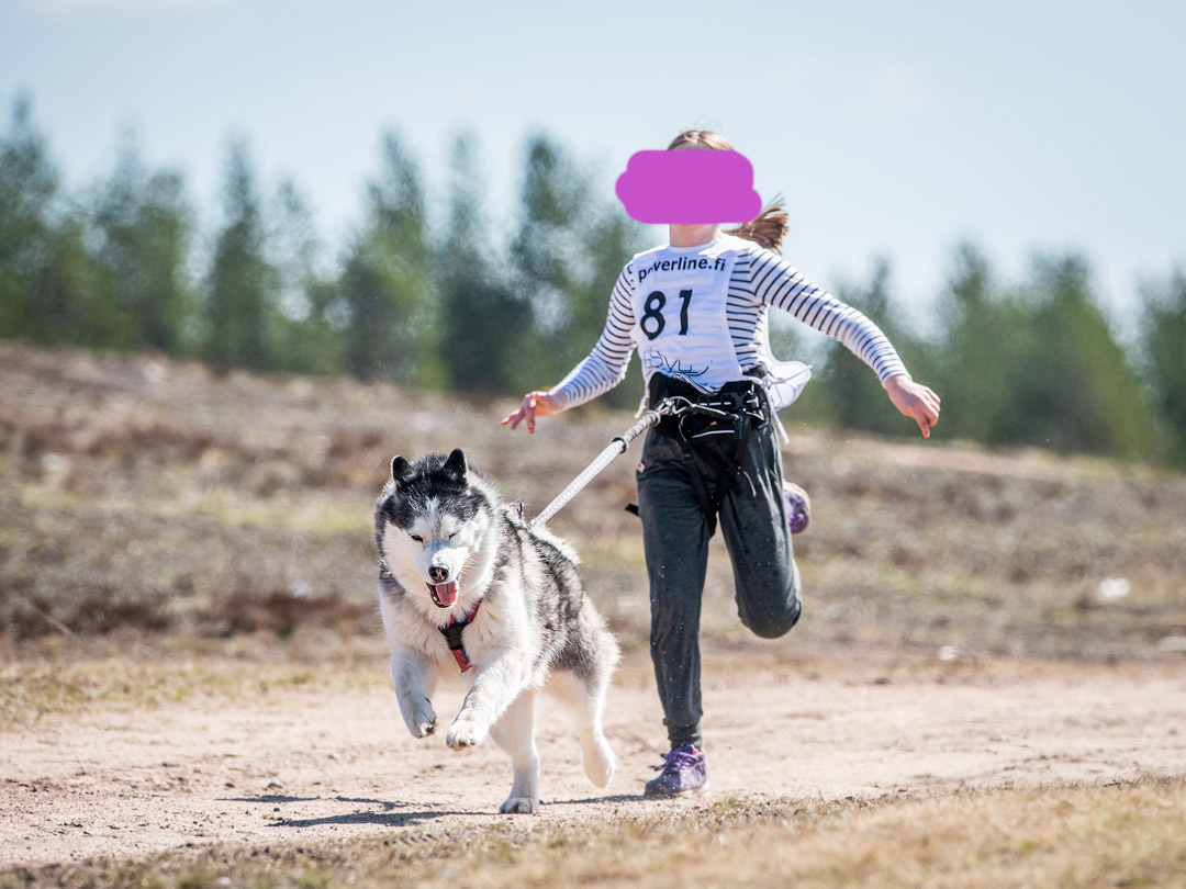 Kulmakulma Kulmakulma