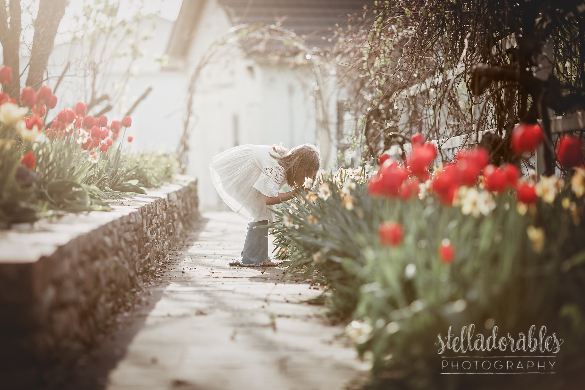 Spring Mini Sessions