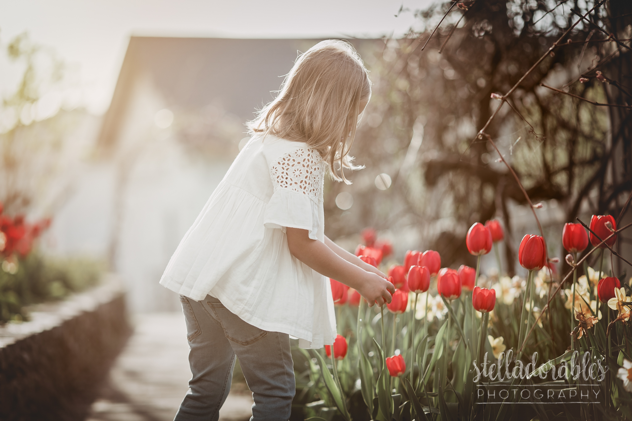 Spring Mini Sessions