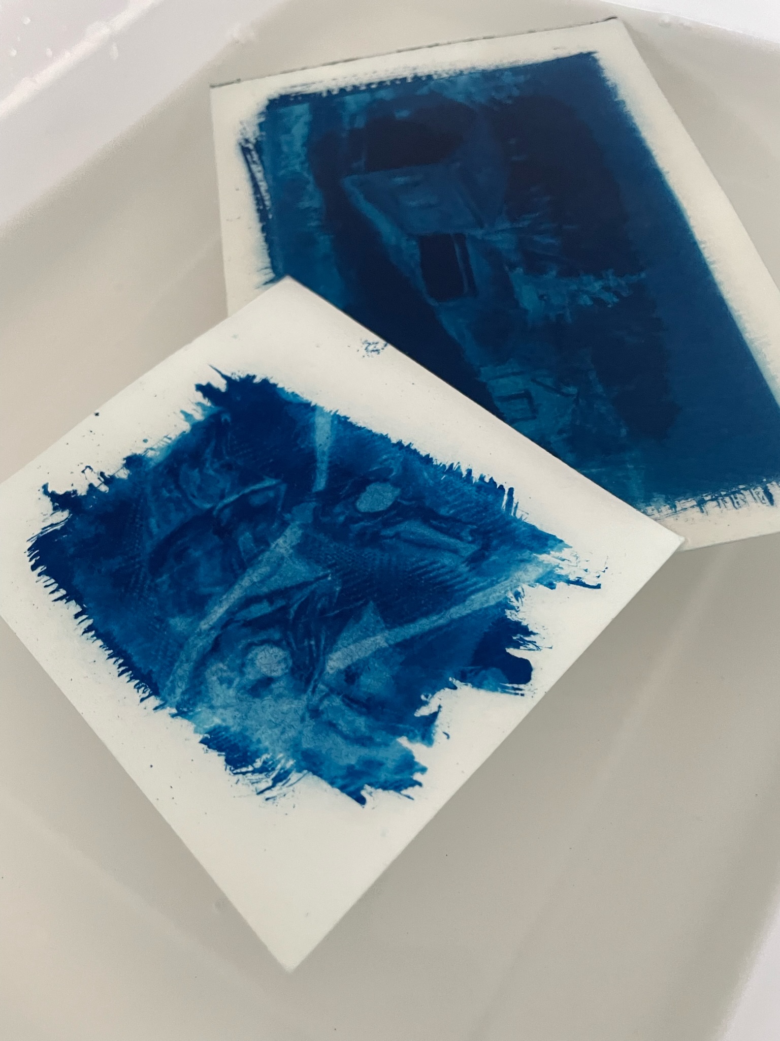 An Introduction to Cyanotype Printing