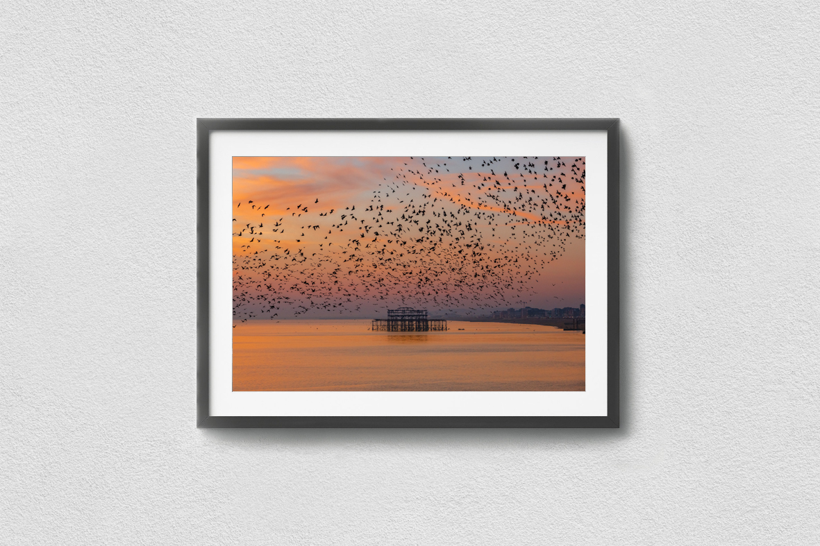 Flight of the starlings Print