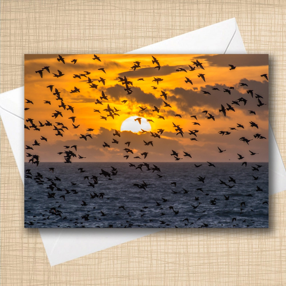 A5 Blank Greeting Card - startled by starlings