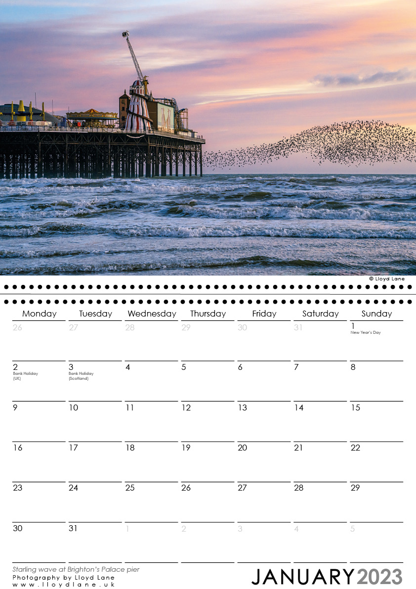 Sussex Calendar - Starling Murmuration in Brighton