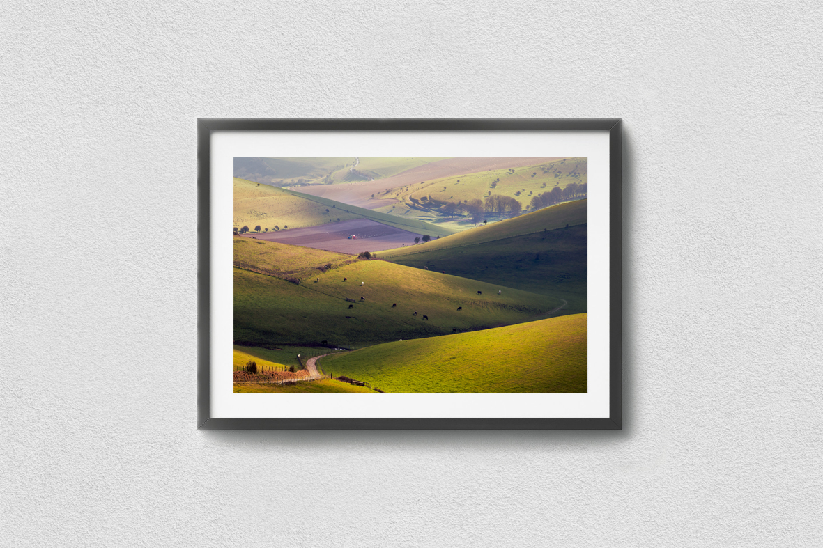 A Slice of the South Downs Print