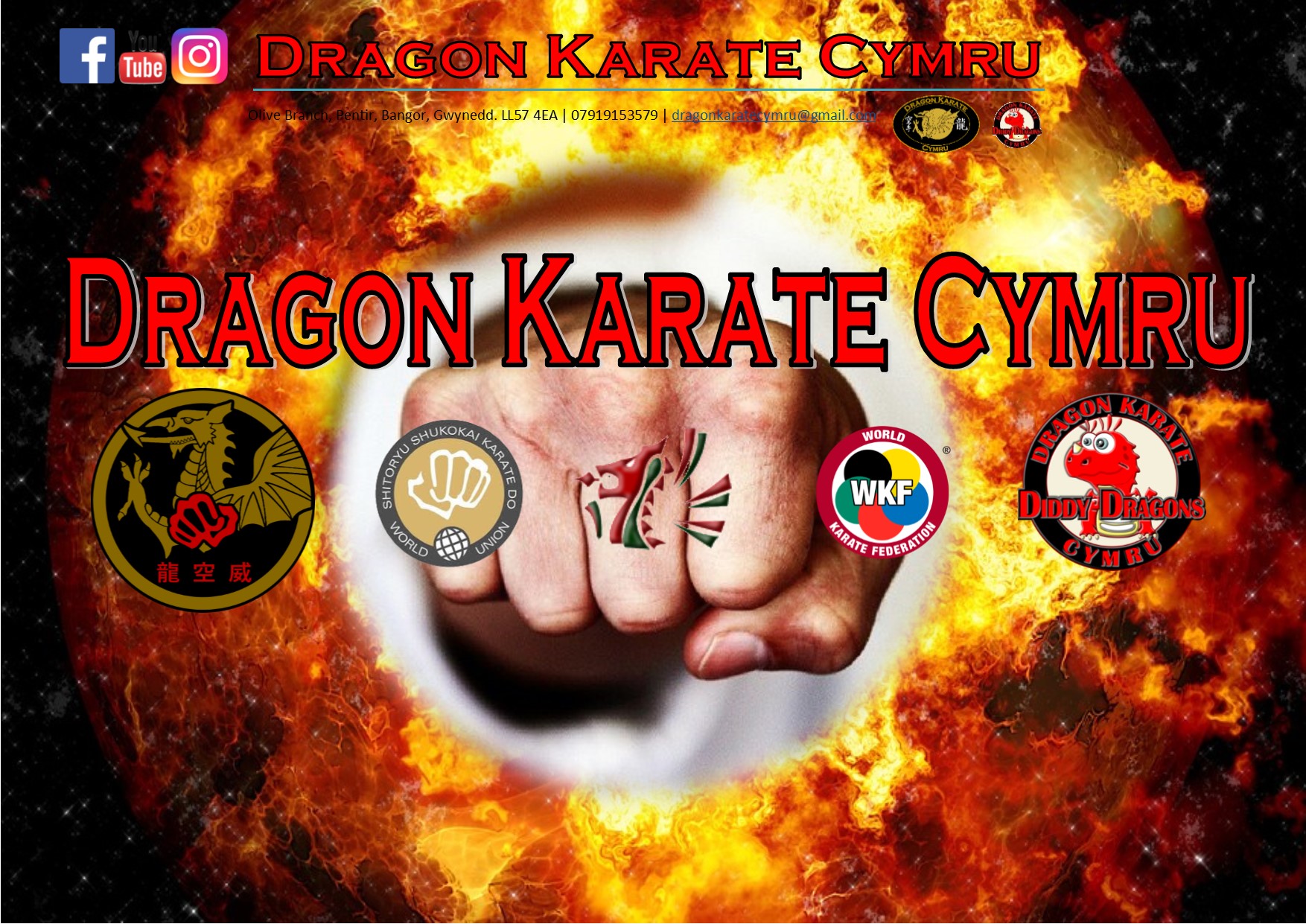 Dragon Karate Cymru