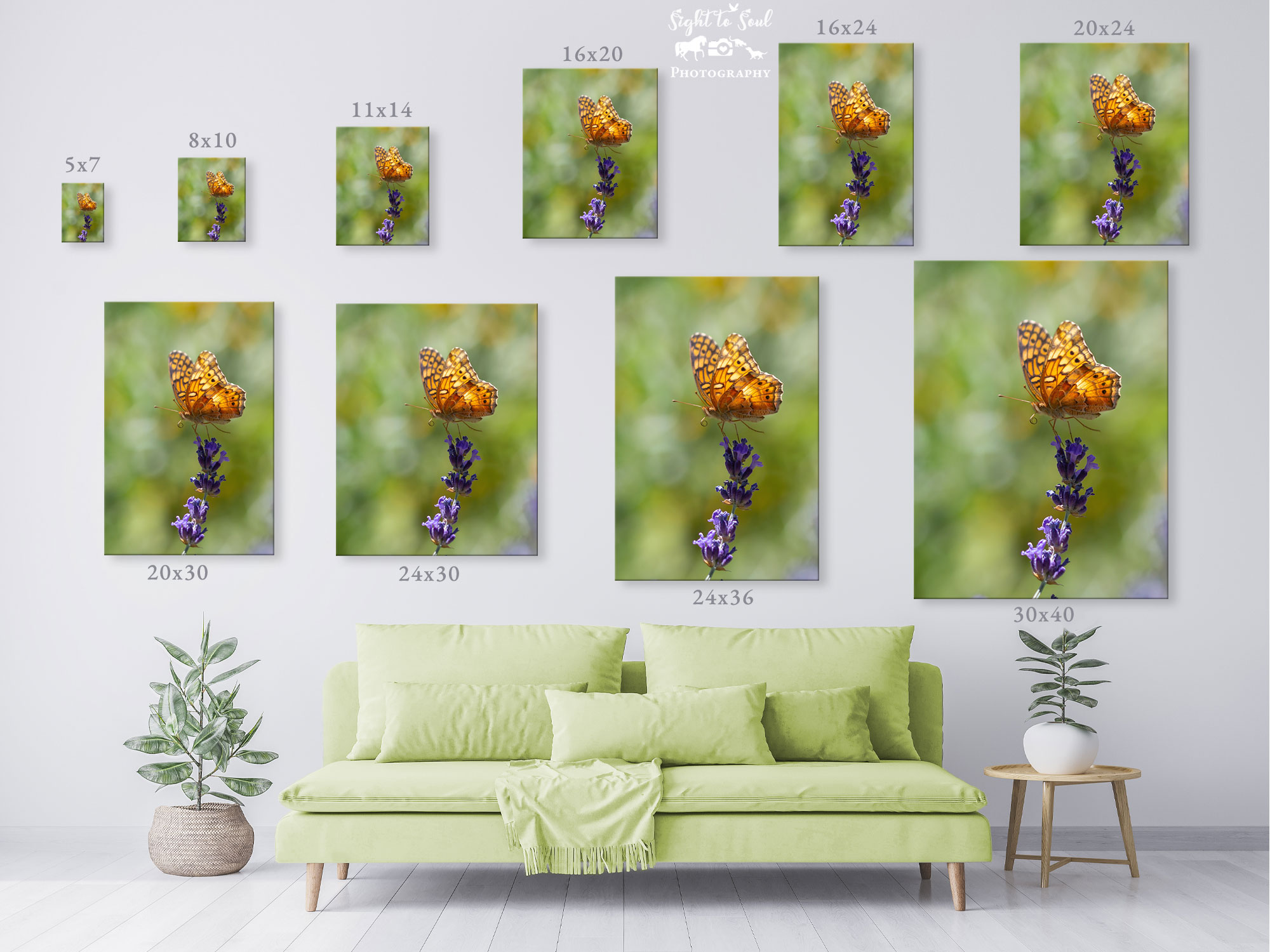 Dancing Butterfly Wall Art, Fine Art Print, Variegated Fritillary Photo
