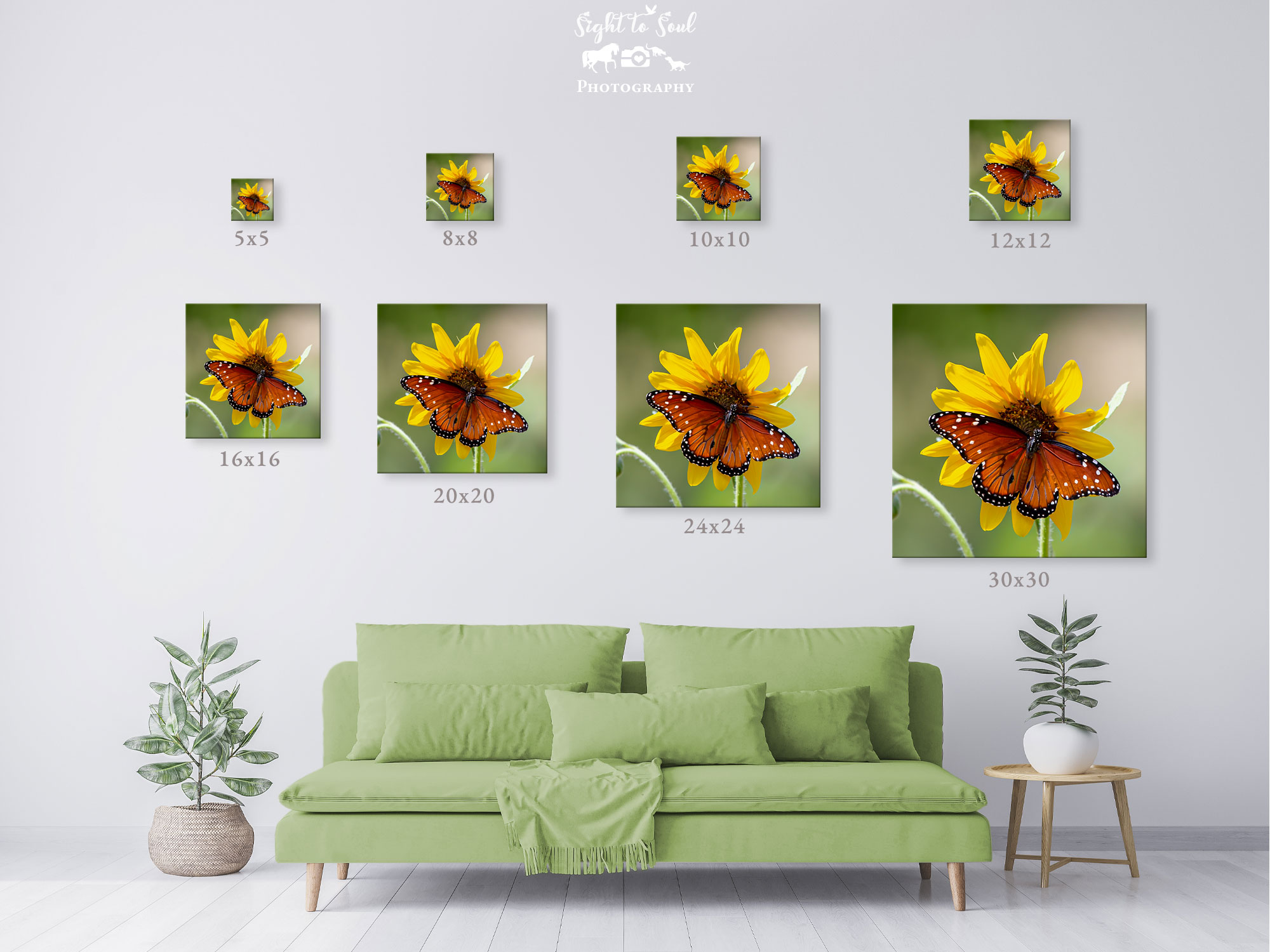 Queen Butterfly Wall Art, Nature Photography, Butterfly on Sunflower Photo