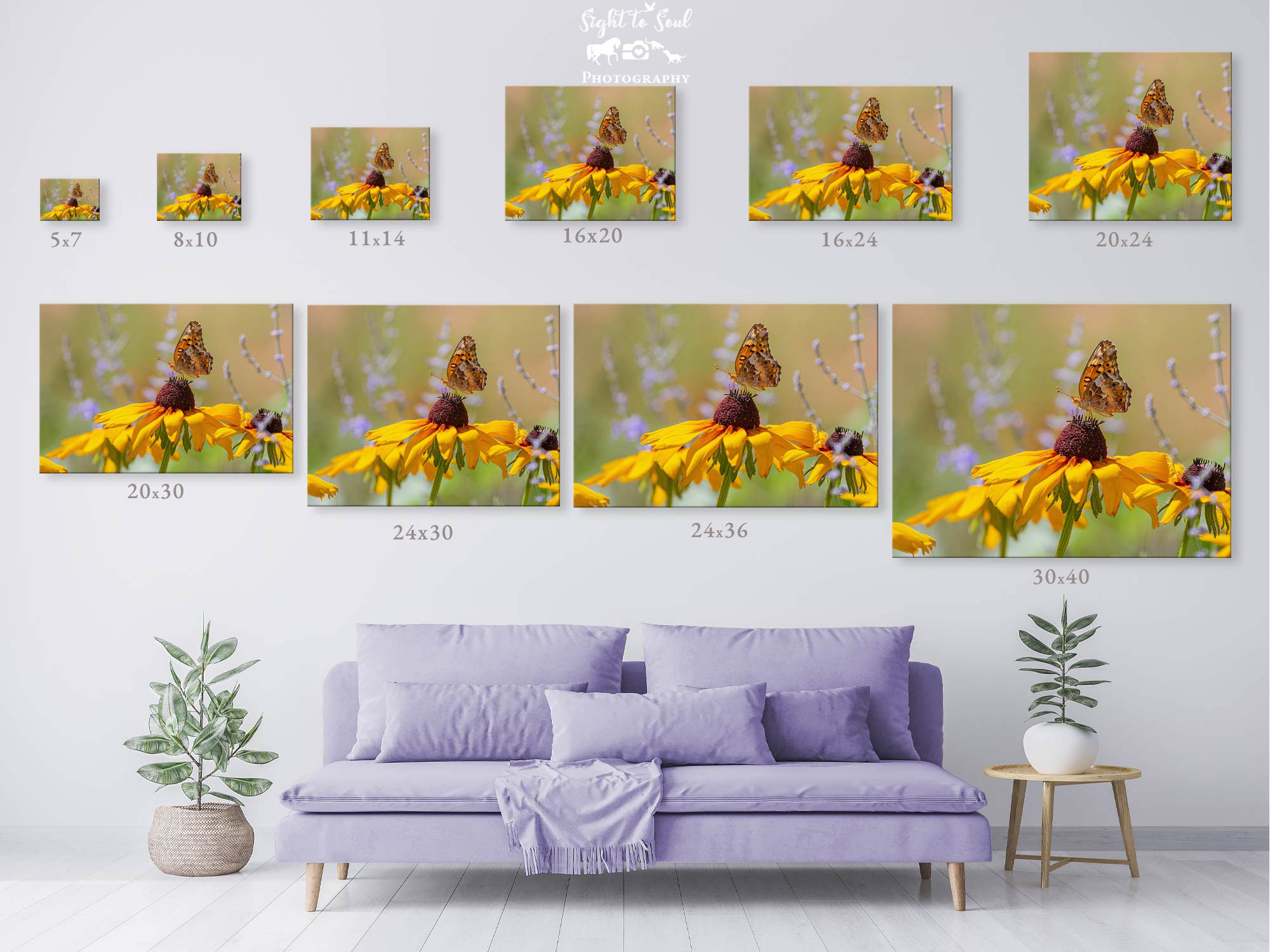 Variegated Fritillary Butterfly Wall Art, Nature Photography Prints