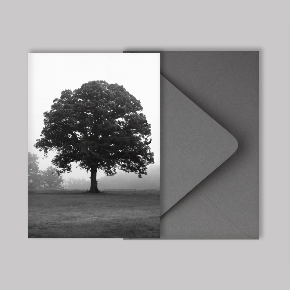 "Root and Branch #1" Greeting Card