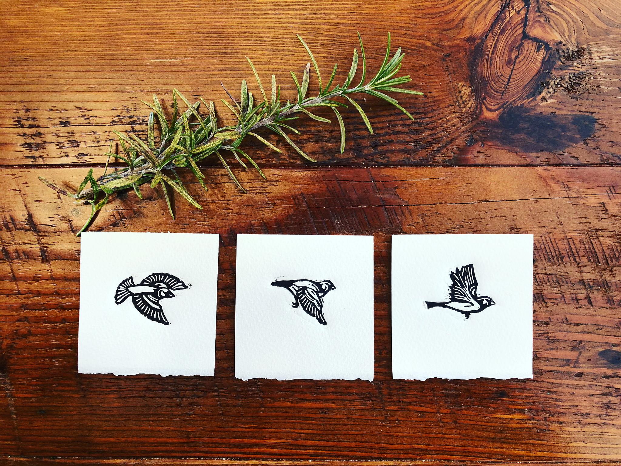 Sparrow Linoleum Prints - set of 3