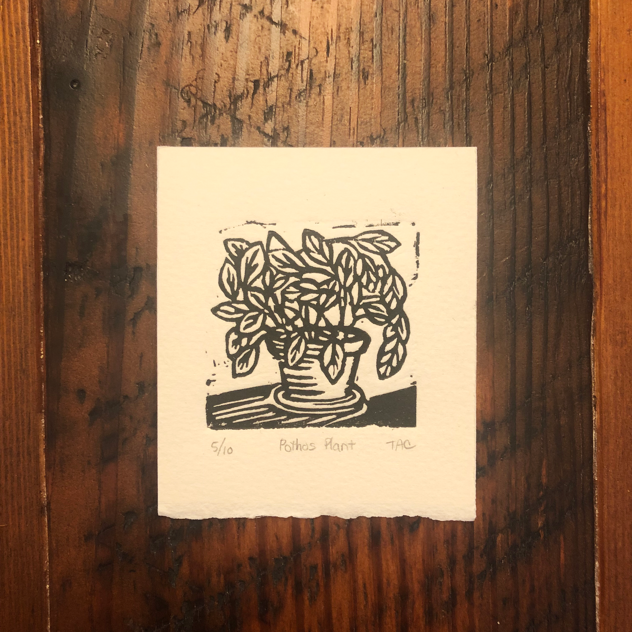 Pothos Plant Mini Print - Stay tuned for a second edition!