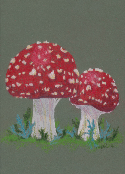 2 Mushrooms Original Custom Framed Color Pencil Artwork