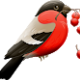 user profile