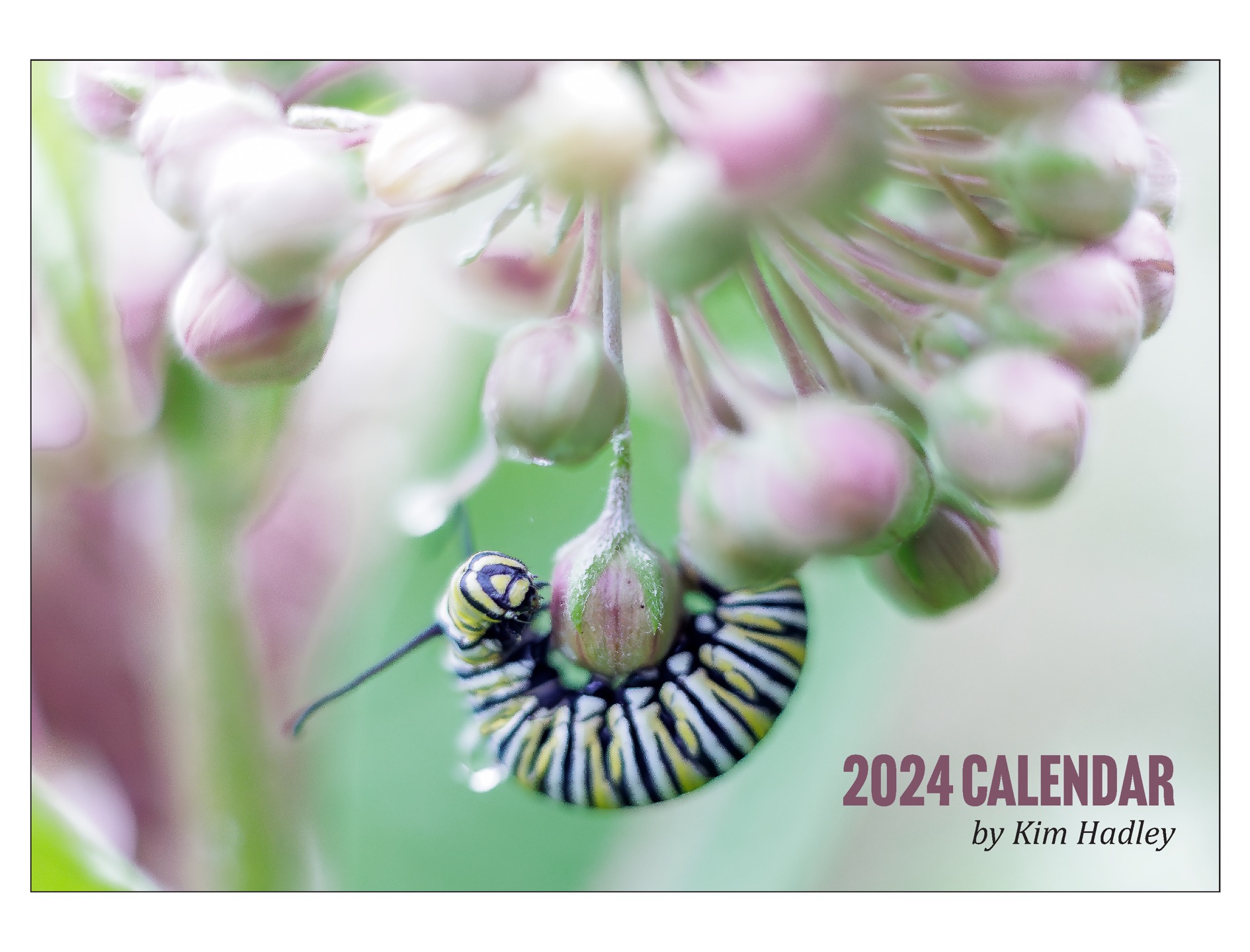 Kim Hadley 2024 Wall Calendar