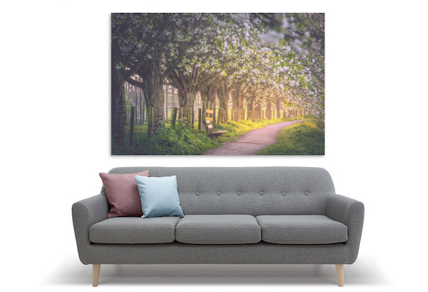 Fine Art Prints