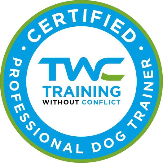 Dog Training Mini Session by Darlene Judd