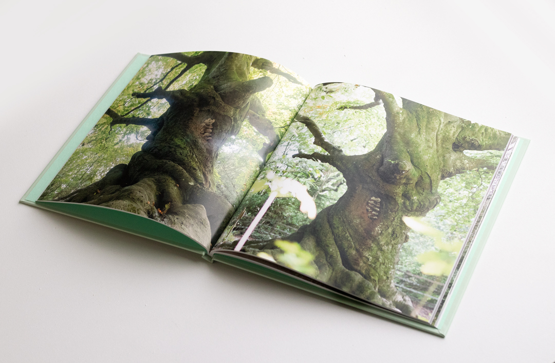 'Gwedh' A Story of Cornish Trees. hardback book