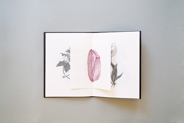 Les oubliés II – Plantureuses, art book