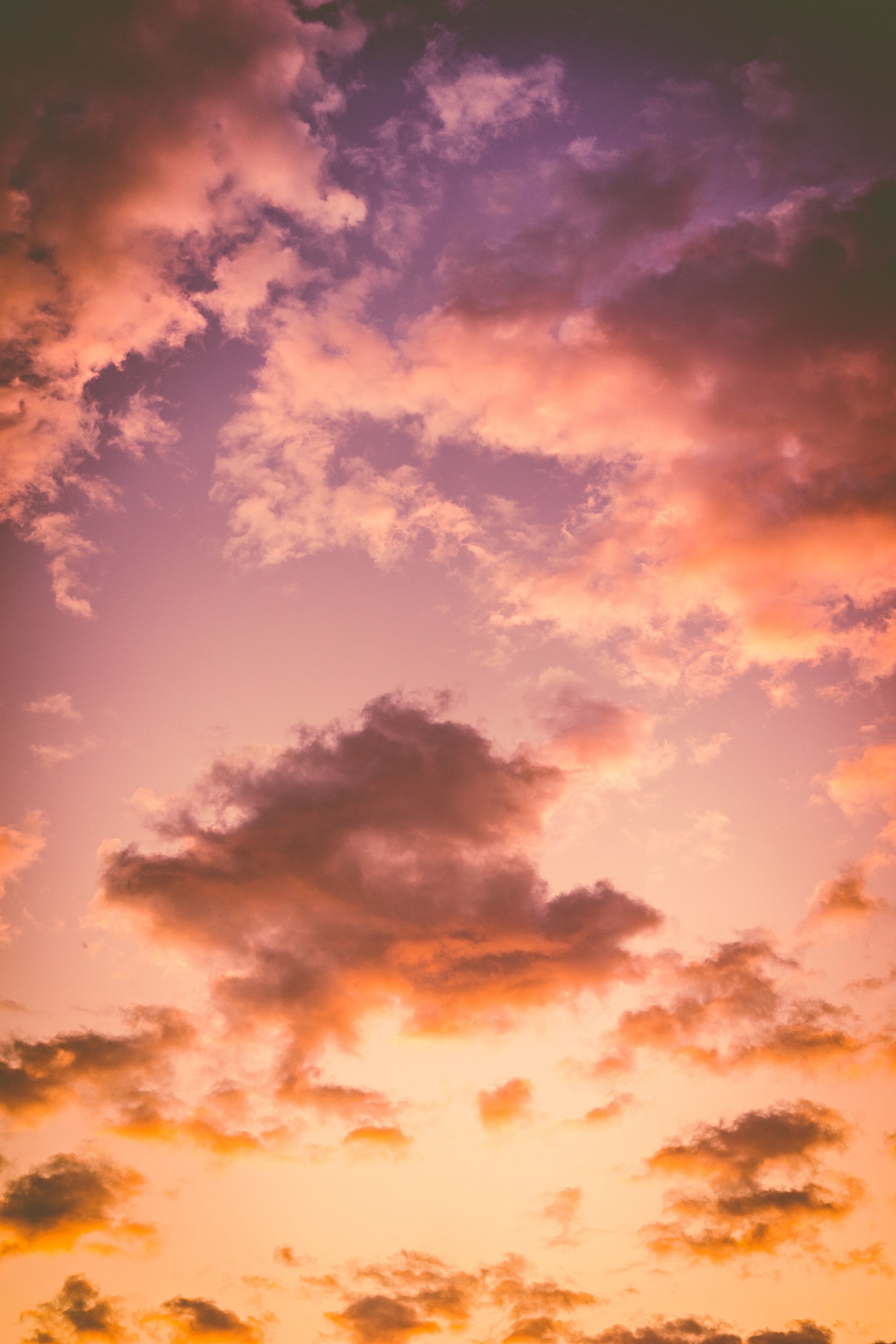 Photo by Dewang Upta on Unsplash