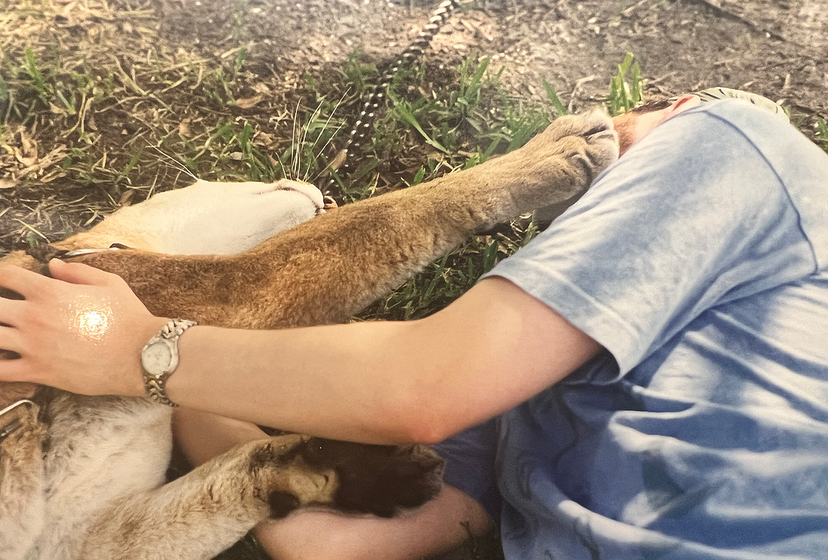 Playing with a Puma