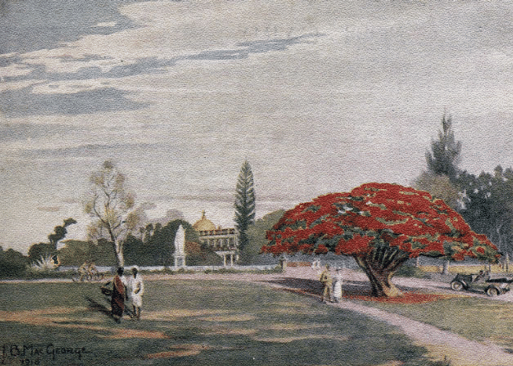 PostcardRewind Vivid Bangalore 2 postcards