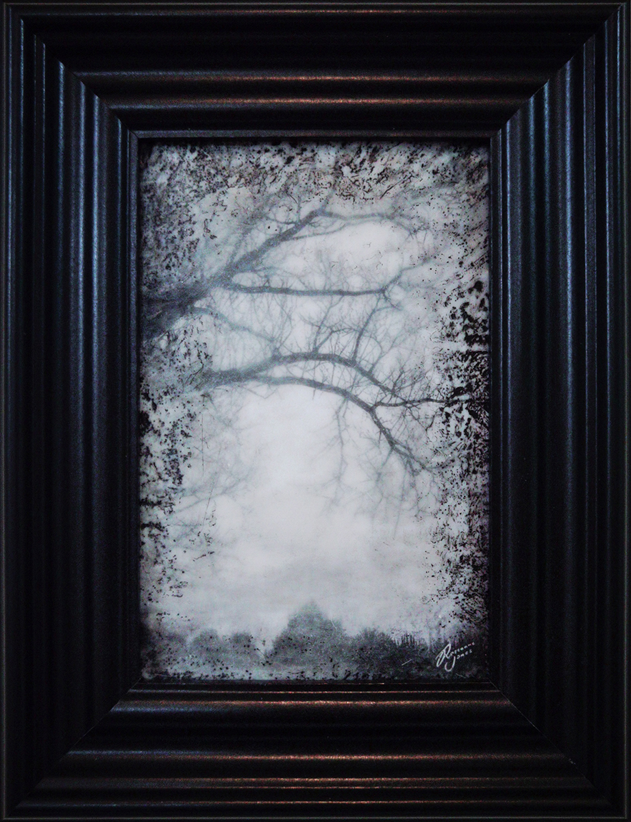 Tree Haze - Framed Photo Encaustic Art by Roseanne Jones