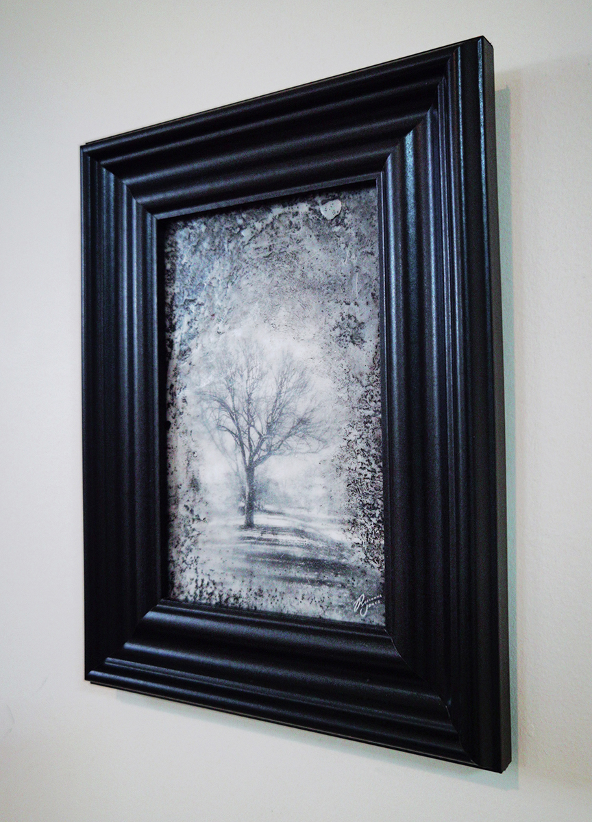 Tree View - Framed Photo Encaustic Art by Roseanne Jones