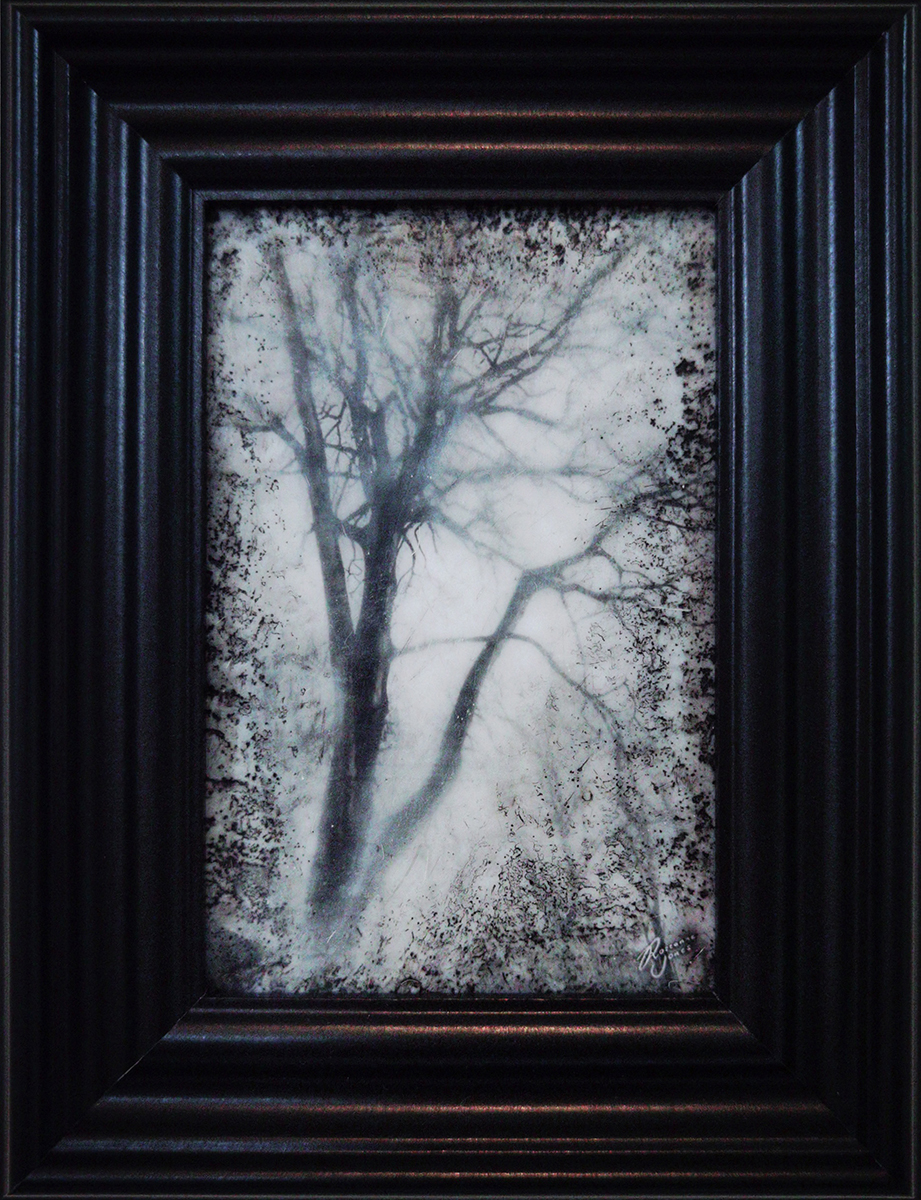 Winter Tree - Framed Photo Encaustic Art by Roseanne Jones