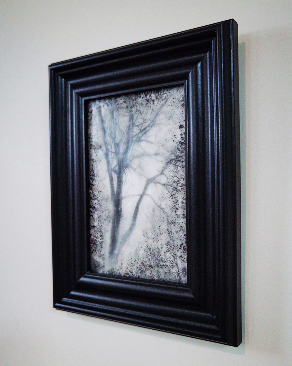 Winter Tree - Framed Photo Encaustic Art by Roseanne Jones