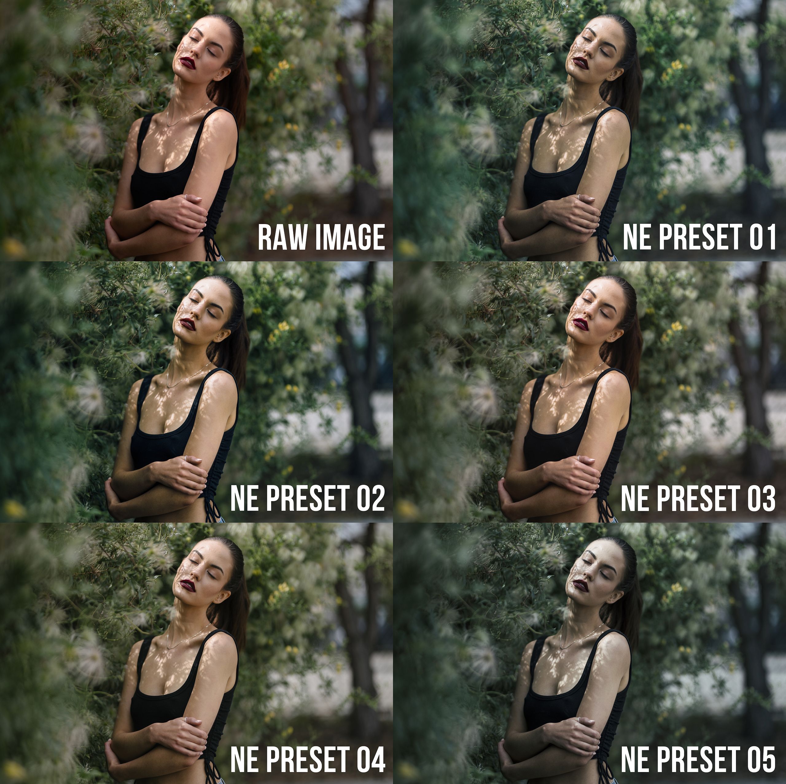 Lightroom Presets + Profiles Collection v4