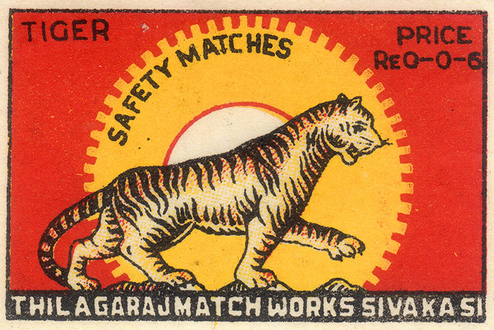 INDIAN TIGER- 12 CARDS
