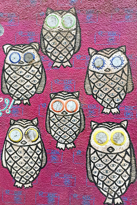 OWL STREET ART - 9 CARDS
