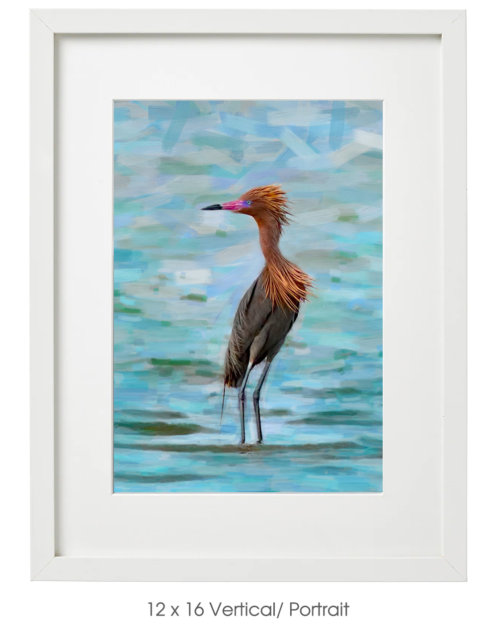 Reddish Egret in Galveston Bay