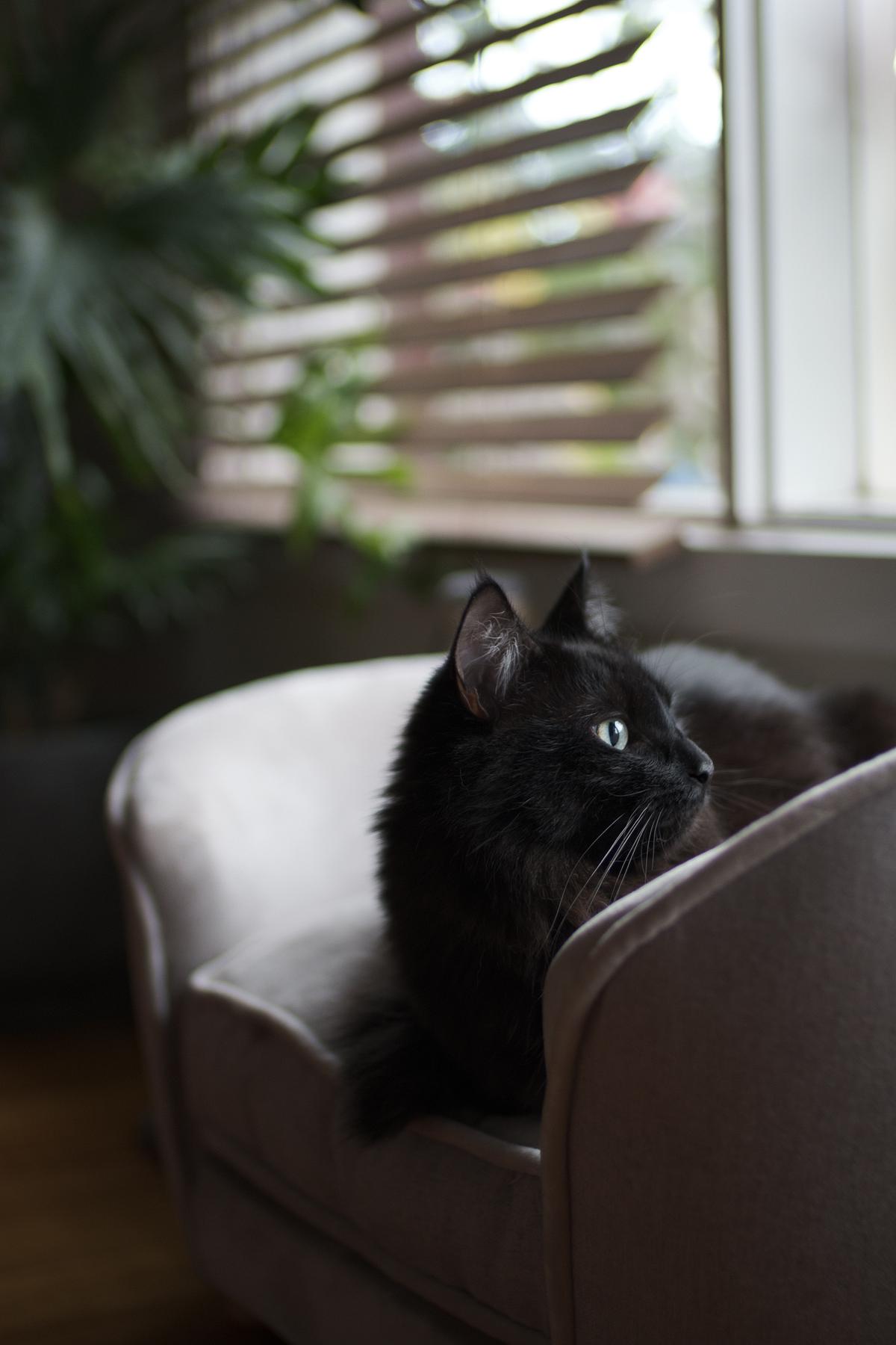 Winchester watching the rain Winchester watching the rain