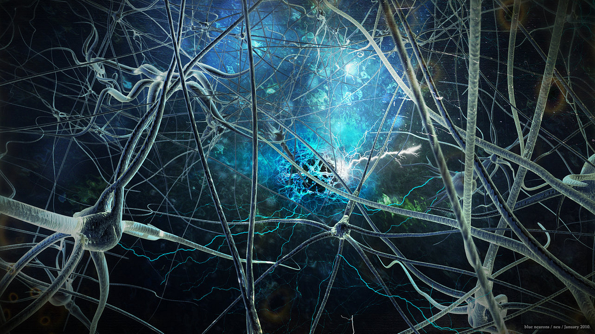 Neurons Neurons