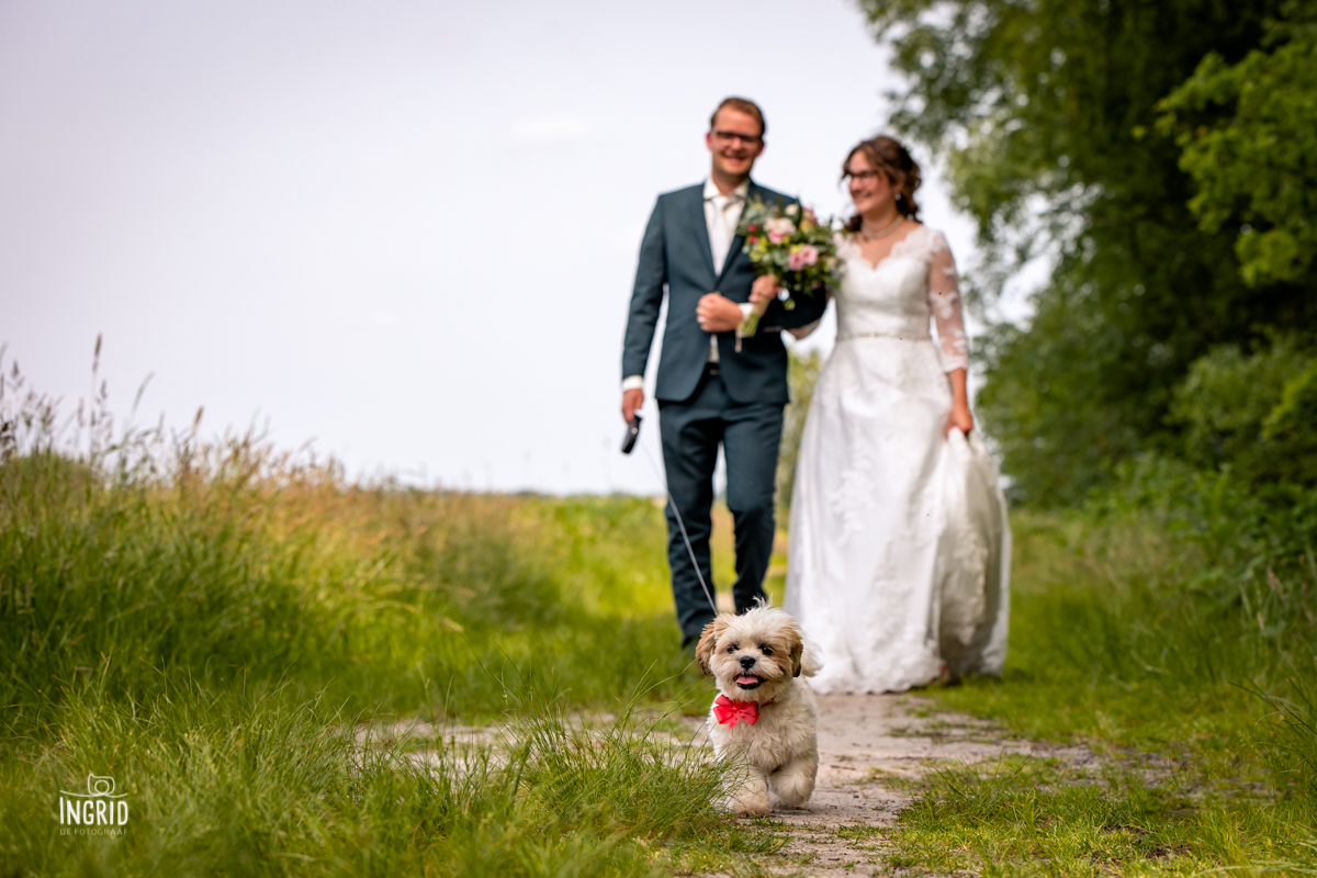 Fotoshoot bruidspaar met hond Fotoshoot bruidspaar met hond