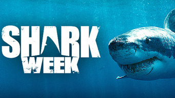 Discovery Shark Week
